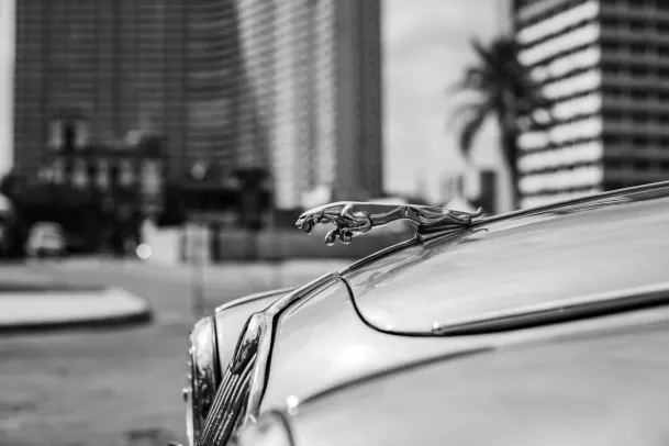 Kaszinó Loony Bingo Android/iOS Alkalmazás